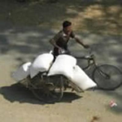 Food Distribution Bicycle 150x150.jpg